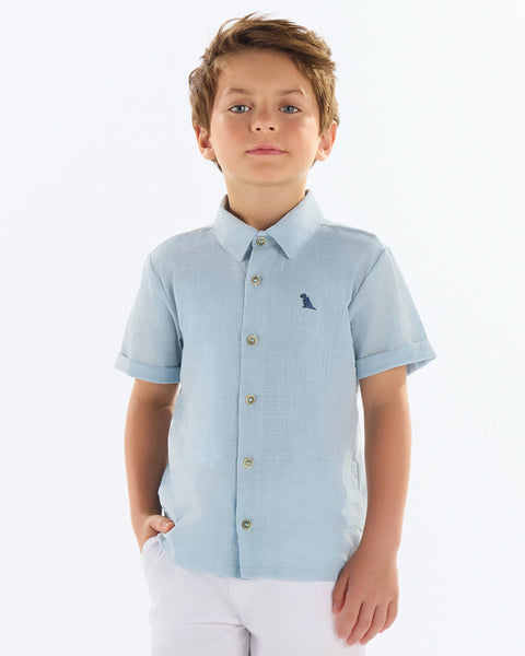Blue Woven Button Down Shirt