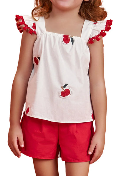 Apple Embroidery Set