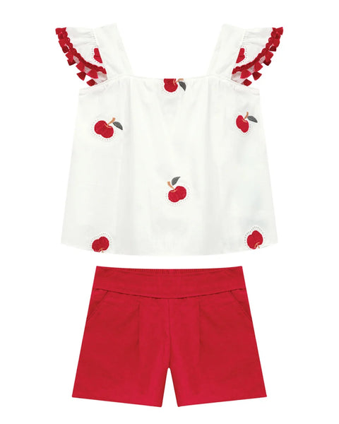 Apple Embroidery Set