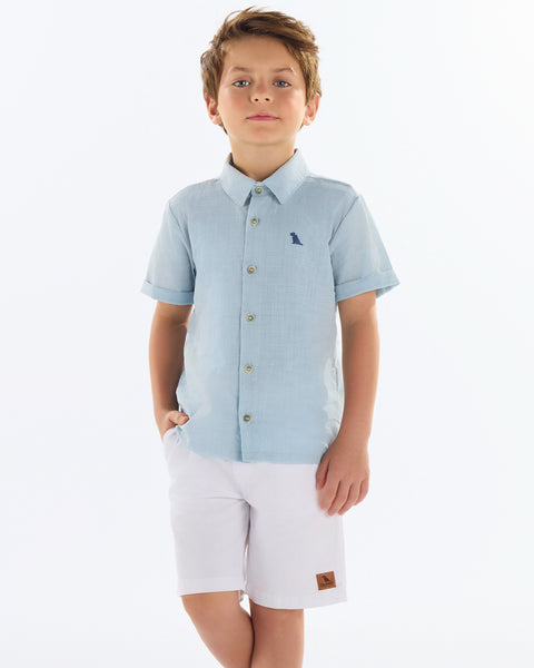 Blue Woven Button Down Shirt