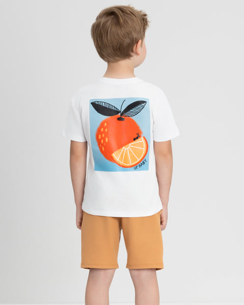 Citrus Set