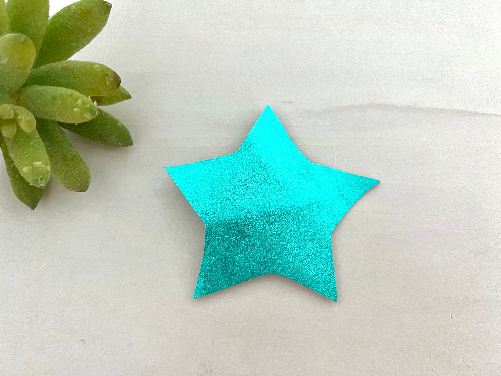 Star Hair Clip