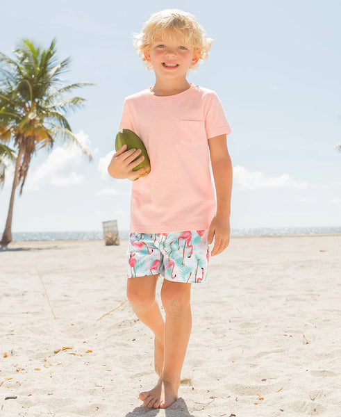 Boy Pale Pink Pocket T-Shirt: 8Y